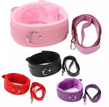 BDSM collar and leash
