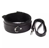 BDSM collar and leash