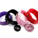 BDSM collar and leash