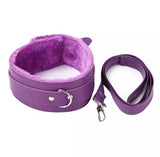 BDSM collar and leash